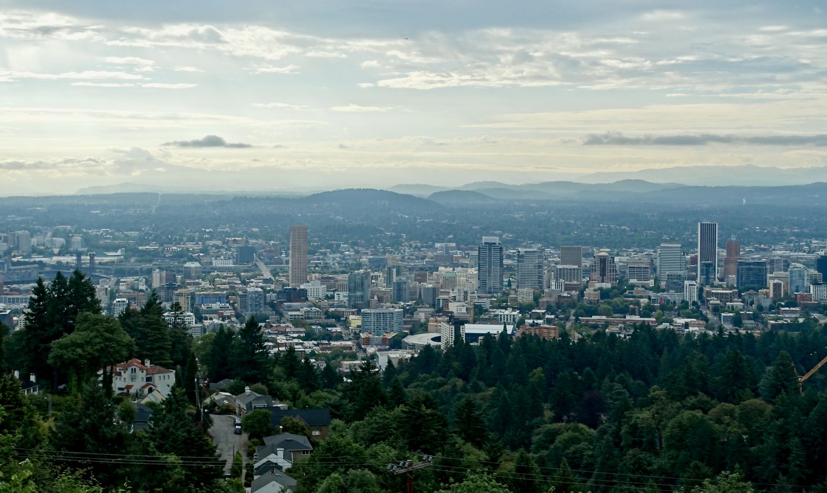 Harness Website Marketing to Revive Portland’s Business Scene