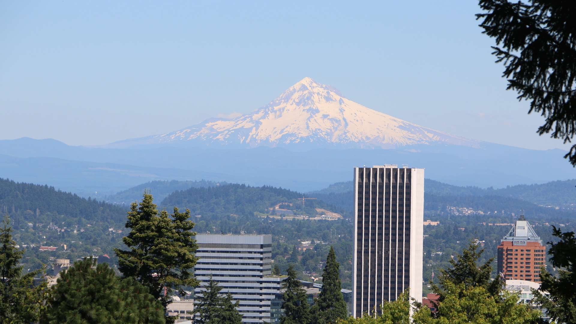 Mintun Media: The Place to Turn for Expert Web Designers