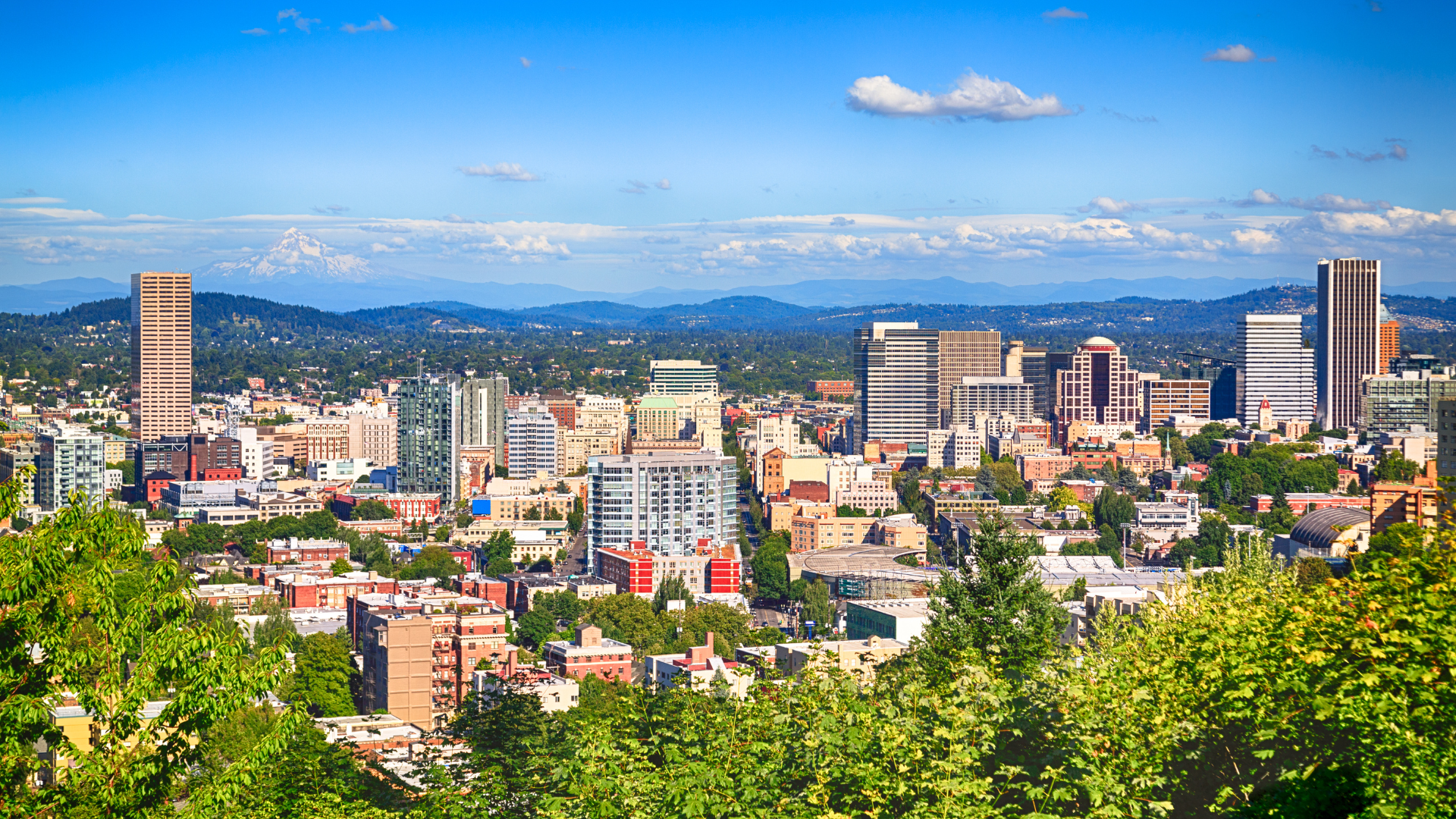 Landing Page: It’s Not Just For Planes Anymore!